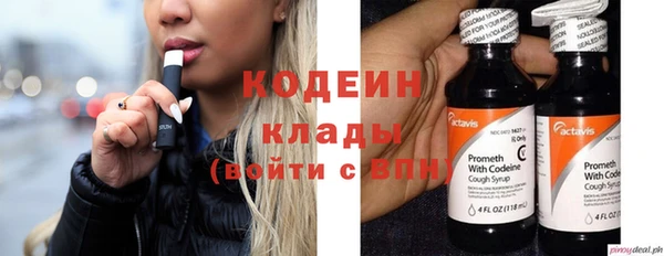 спиды Корсаков
