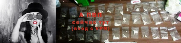 спиды Корсаков