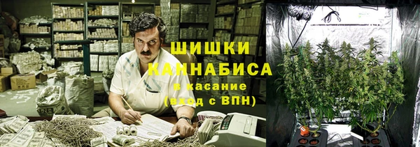спиды Корсаков
