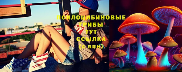 спиды Корсаков